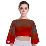 Crimson Skys Tie Back Butterfly Sleeve Chiffon Top