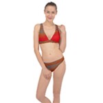 Crimson Skys Classic Banded Bikini Set 