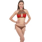 Crimson Skys Cross Front Halter Bikini Set