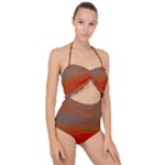 Crimson Skys Scallop Top Cut Out Swimsuit