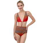 Crimson Skys Tied Up Two Piece Swimsuit