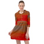 Crimson Skys Mini Skater Shirt Dress