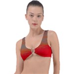 Crimson Skys Ring Detail Bikini Top