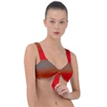 Crimson Skys Front Tie Bikini Top