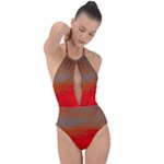 Crimson Skys Plunge Cut Halter Swimsuit