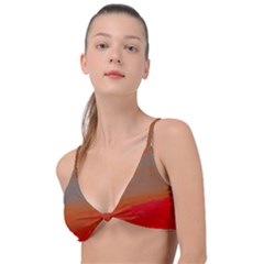 Knot Up Bikini Top 