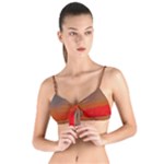 Crimson Skys Tie Up Cut Bikini Top