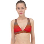 Crimson Skys Classic Banded Bikini Top