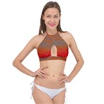 Crimson Skys Cross Front Halter Bikini Top