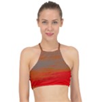 Crimson Skys Halter Bikini Top