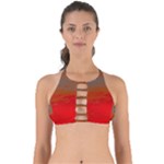 Crimson Skys Perfectly Cut Out Bikini Top