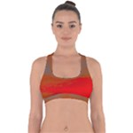 Crimson Skys Cross Back Hipster Bikini Top 