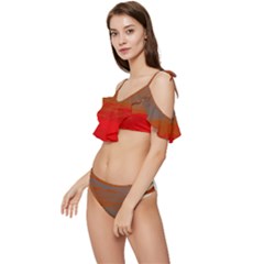 Ruffle Edge Tie Up Bikini Set	 