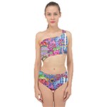 Cabbage Flower Abstract Spliced Up Two Piece Swimsuit