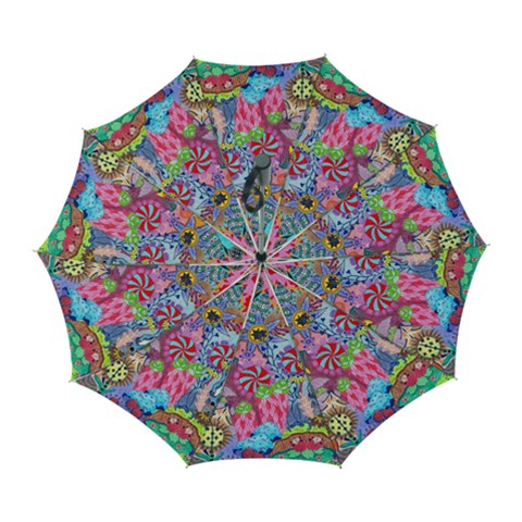 Cabbage Flower Abstract Automatic Folding Umbrella with Case (Large) from ArtsNow.com