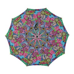 Cabbage Flower Abstract Automatic Folding Umbrella with Case (Large) from ArtsNow.com