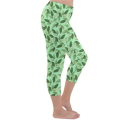 Capri Winter Leggings  