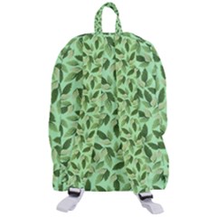 Travelers  Backpack 