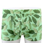 Leaves Pattern Texture Seamless Men s Boxer Briefs