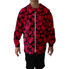 Kids  Hooded Windbreaker 