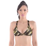 Gold Rush Plunge Bikini Top