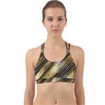 Gold Rush Back Web Sports Bra