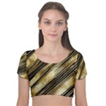 Gold Rush Velvet Short Sleeve Crop Top 