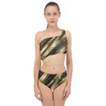 Gold Rush Spliced Up Two Piece Swimsuit