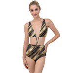 Gold Rush Tied Up Two Piece Swimsuit