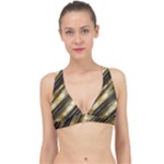 Gold Rush Classic Banded Bikini Top