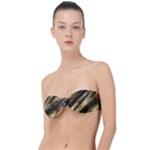 Gold Rush Classic Bandeau Bikini Top 