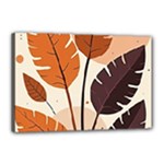 Leaves Boho Monster Nature Canvas 18  x 12  (Stretched)