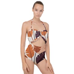 Scallop Top Cut Out Swimsuit 