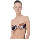 Leaves Boho Monster Nature Classic Bandeau Bikini Top 