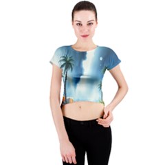 Crew Neck Crop Top 