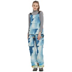 Women s Side Zip Front Pouch Ski And Snowboard Bib Pants	 