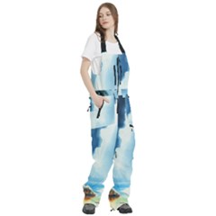 Women s Front Zip Ski And Snowboard Bib Pants 