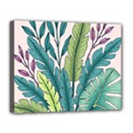 Illustrations Plants Nature Leaves Canvas 14  x 11  (Stretched)