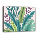 Illustrations Plants Nature Leaves Canvas 16  x 12  (Stretched)