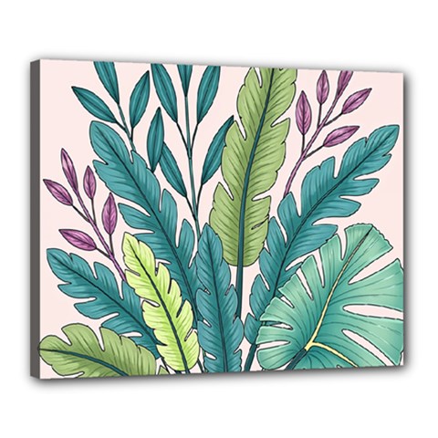 Illustrations Plants Nature Leaves Canvas 20  x 16  (Stretched) from ArtsNow.com