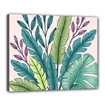 Illustrations Plants Nature Leaves Canvas 20  x 16  (Stretched)