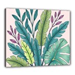 Illustrations Plants Nature Leaves Canvas 24  x 20  (Stretched)