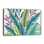 Illustrations Plants Nature Leaves Canvas 18  x 12  (Stretched)