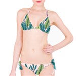 Illustrations Plants Nature Leaves Classic Bikini Set