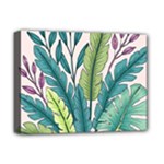 Illustrations Plants Nature Leaves Deluxe Canvas 16  x 12  (Stretched) 