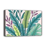 Illustrations Plants Nature Leaves Deluxe Canvas 18  x 12  (Stretched)