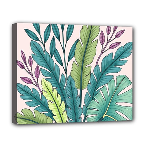 Illustrations Plants Nature Leaves Deluxe Canvas 20  x 16  (Stretched) from ArtsNow.com