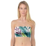 Illustrations Plants Nature Leaves Bandeau Top