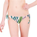 Illustrations Plants Nature Leaves Bikini Bottoms