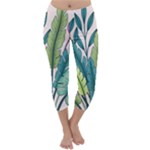 Illustrations Plants Nature Leaves Capri Winter Leggings 